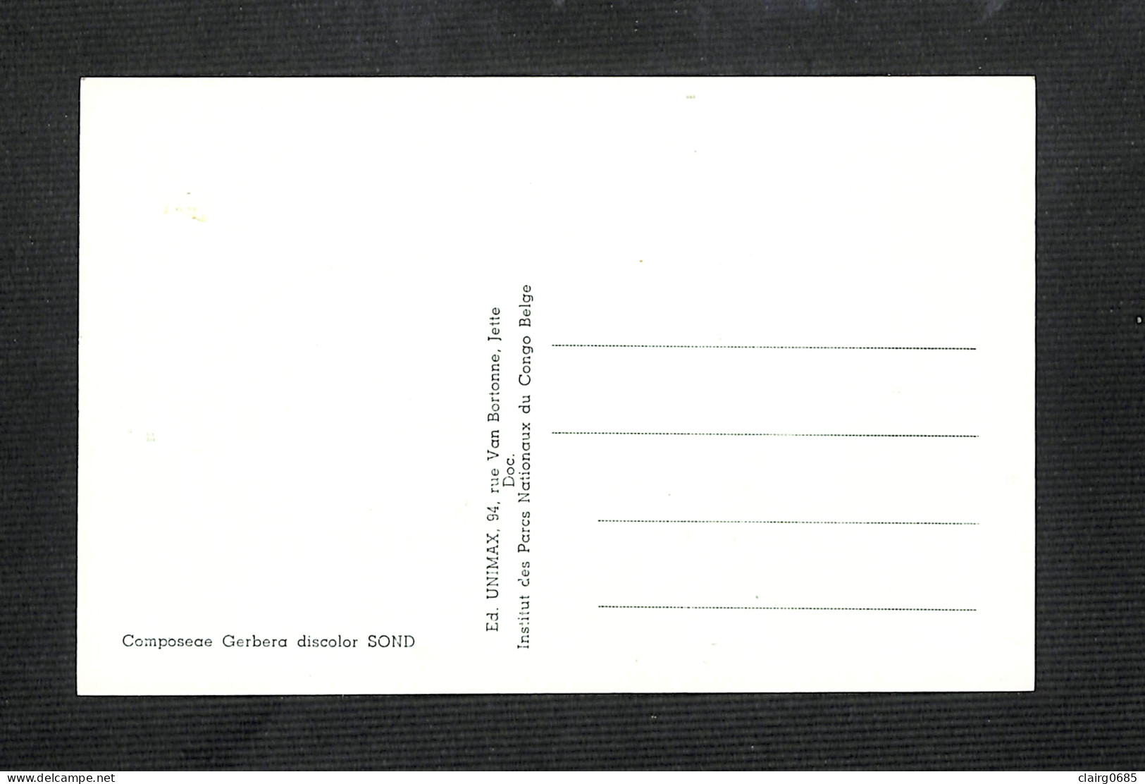 RUANDA-URUNDI - Carte MAXIMUM 1958 - Palais Du CONGO BELGE Et Du RUANDA-URUNDI - Fleurs - GERBERA - Sonstige & Ohne Zuordnung