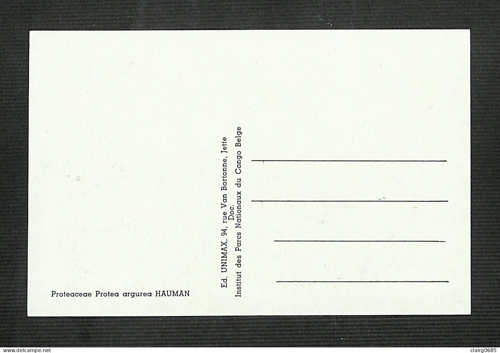 RUANDA-URUNDI - Carte MAXIMUM 1958 - Palais Du CONGO BELGE Et Du RUANDA-URUNDI - Fleurs - PROTEA - Autres & Non Classés