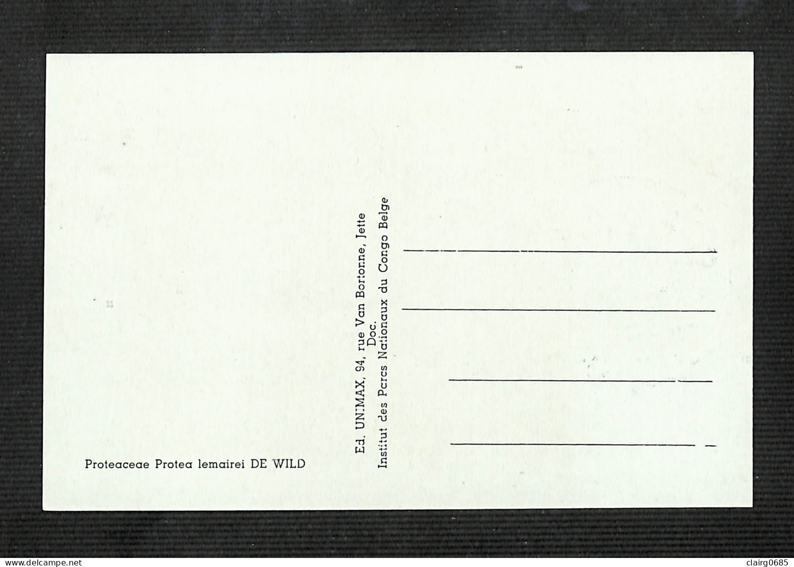 RUANDA-URUNDI - Carte MAXIMUM 1958 - Palais Du CONGO BELGE Et Du RUANDA-URUNDI - Fleurs - PROTEA - Andere & Zonder Classificatie