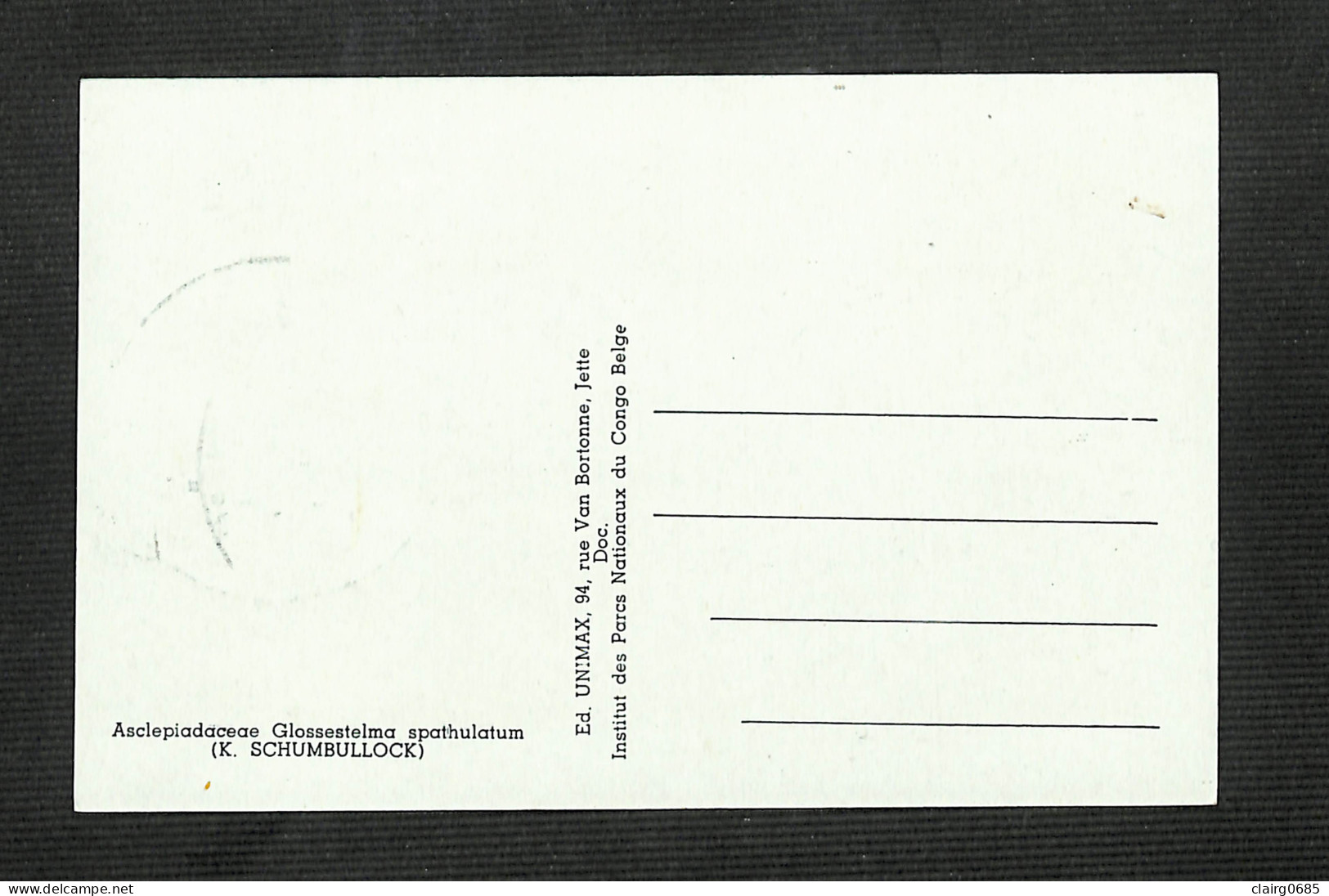 RUANDA-URUNDI - Carte MAXIMUM 1958 - Palais Du CONGO BELGE Et Du RUANDA-URUNDI - Fleurs - SCHIZOGLOSSUM - Autres & Non Classés