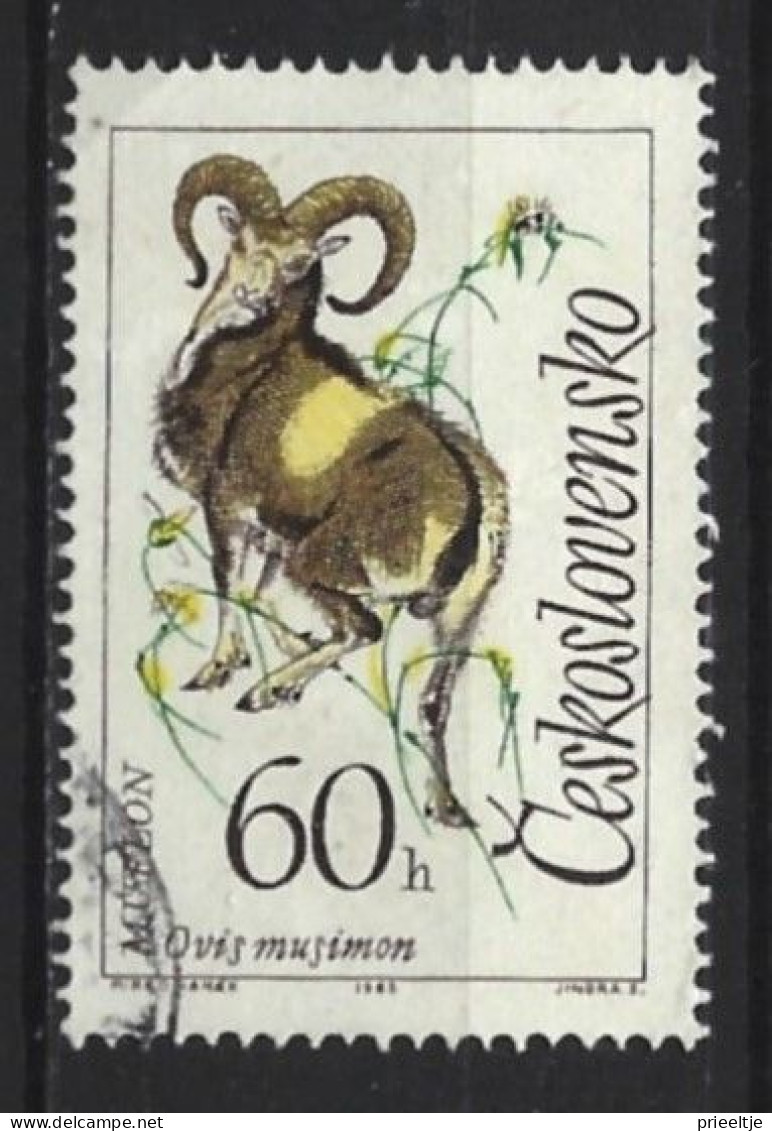 Ceskoslovensko 1963 Fauna Y.T. 1308 (0) - Used Stamps