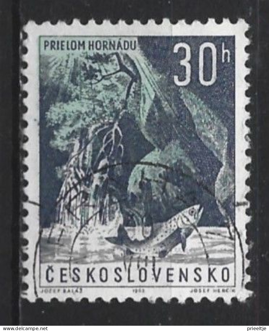 Ceskoslovensko 1963 Fishing   Y.T. 1285 (0) - Used Stamps