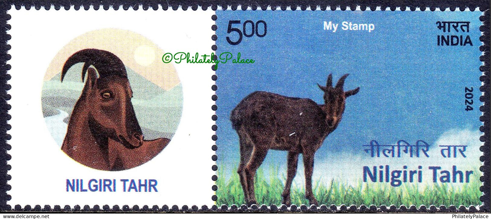 India New *** 2024 Nilgiri Tahr,Forest Goat, Animal, Endangered (IUCN 3.1), Stamp+ Tab MNH (**) Inde Indien - Nuevos