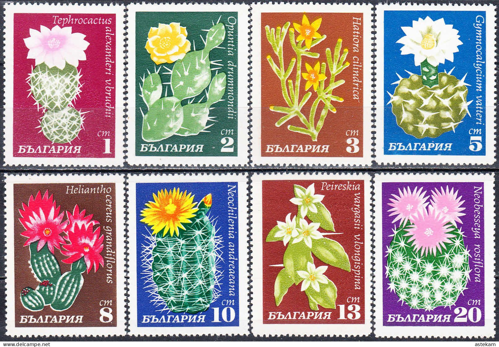 BULGARIA 1970, FLOWERS, CACTI, COMPLETE MNH SERIES With GOOD QUALITY,*** - Ungebraucht