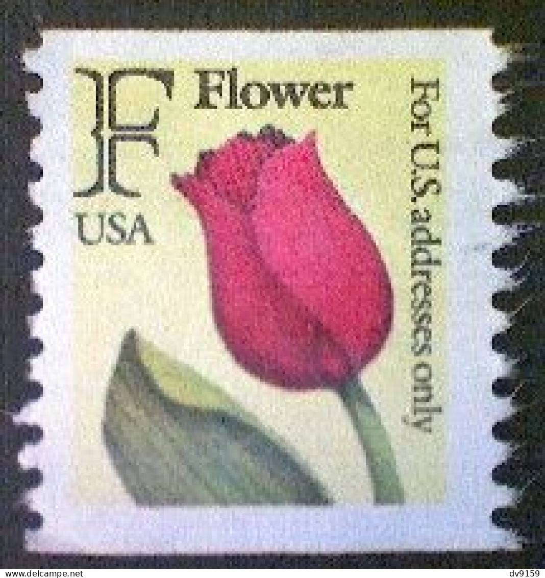 United States, Scott #2518, Used(o) Coil, 1991, Rate Change "F" Tulip , (29¢) - Gebraucht