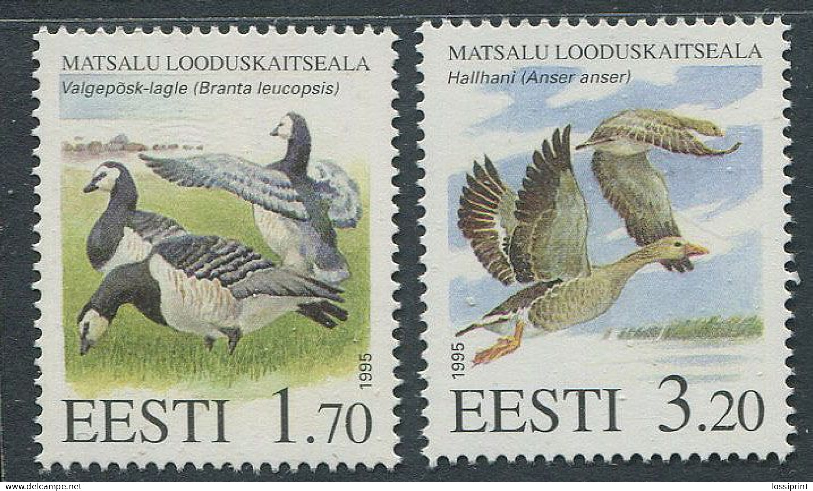 Estonia:Unused Stamps Matsalu Nature Park, Birds, Geese, 1995, MNH - Palmípedos Marinos