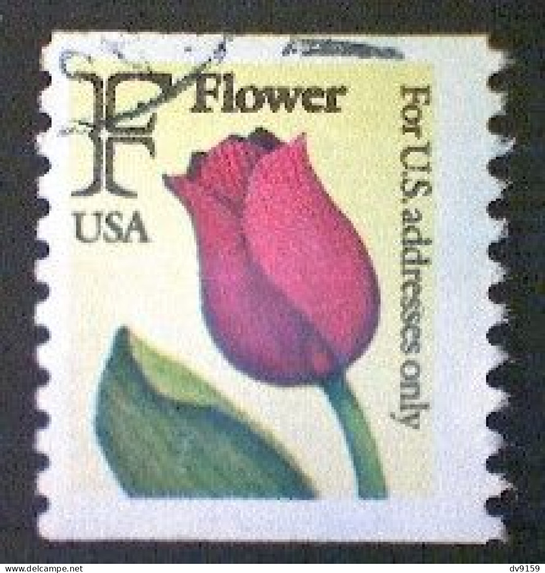United States, Scott #2518, Used(o) Coil, 1991, Rate Change "F" Tulip , (29¢) - Usados