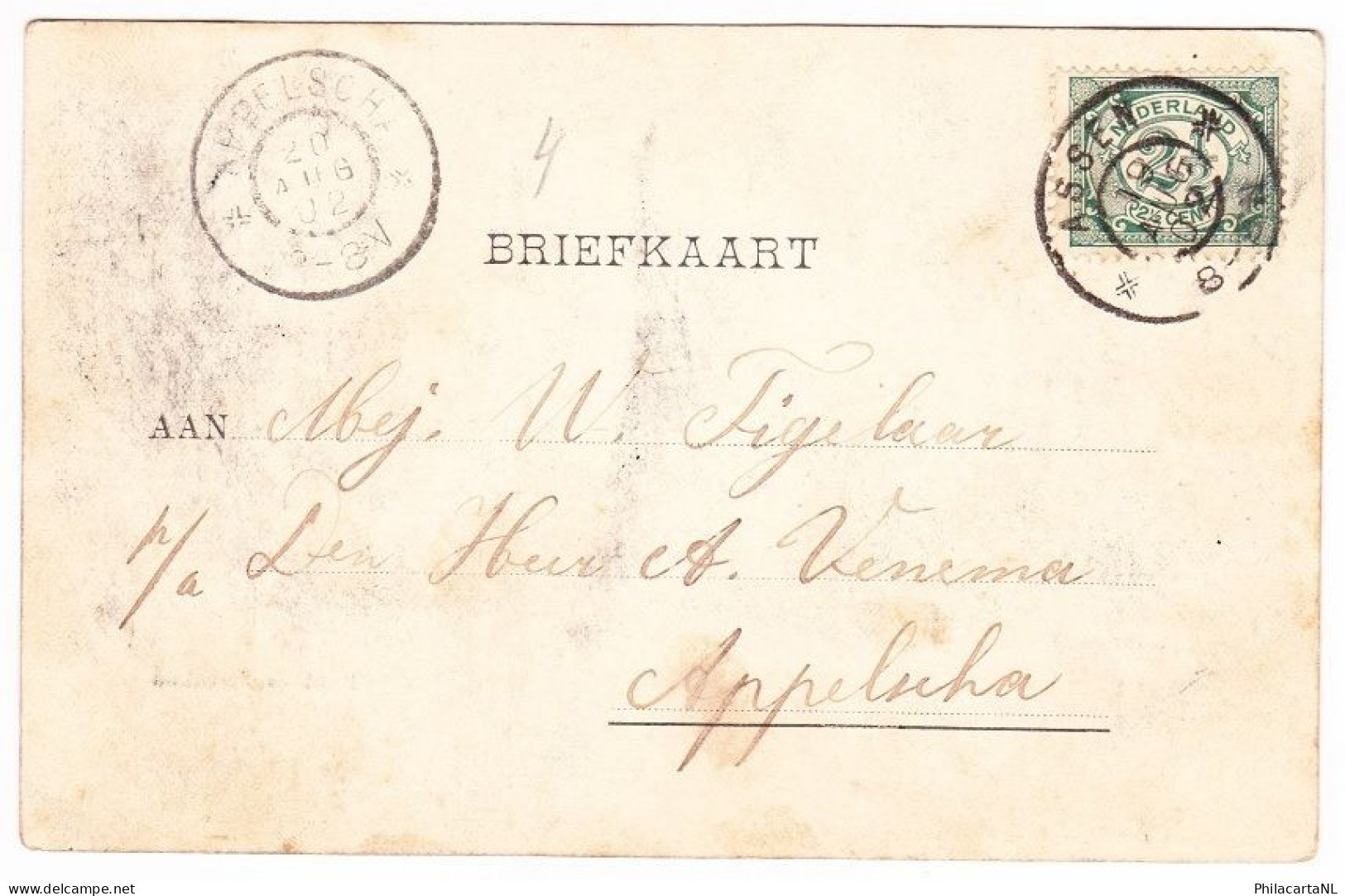 Assen - Brink En Torenlaan - 1902 - Assen
