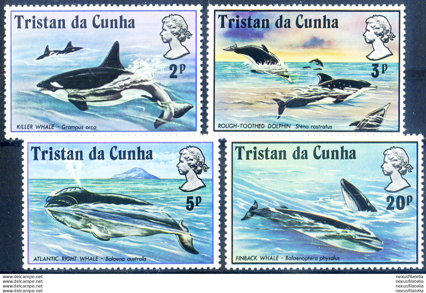 Fauna. Cetacei 1975. - Tristan Da Cunha