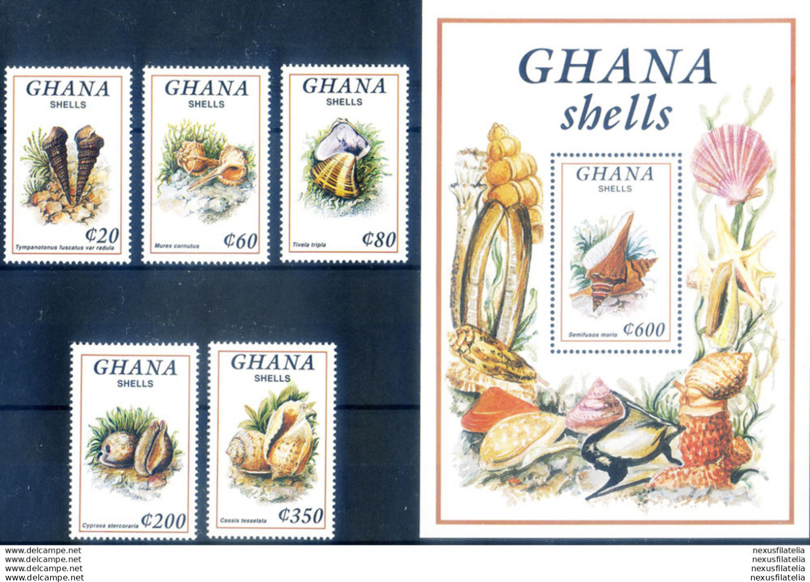 Conchiglie 1992. - Ghana (1957-...)