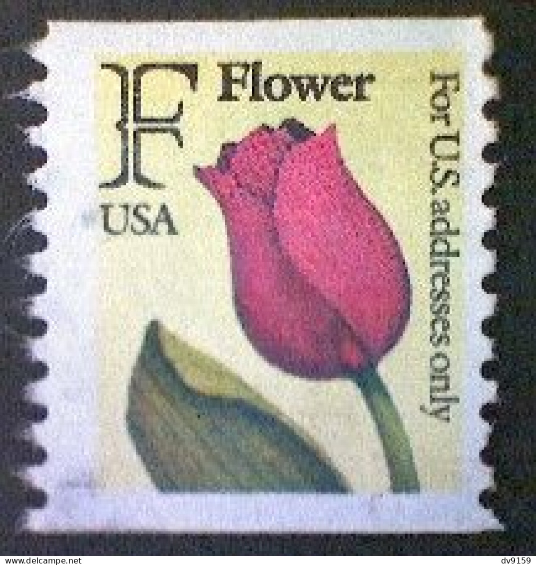 United States, Scott #2518, Used(o) Coil, 1991, Rate Change "F" Tulip , (29¢) - Usati