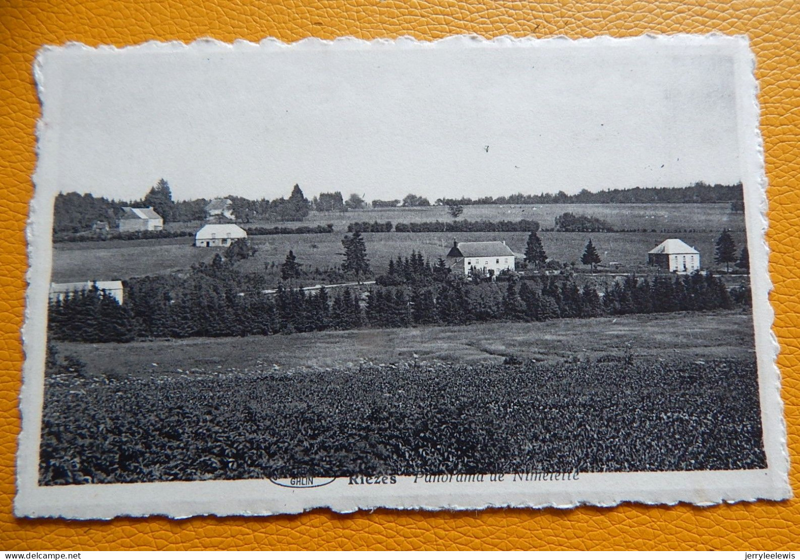 RIEZES   -   Panorama De Nimelette - Chimay