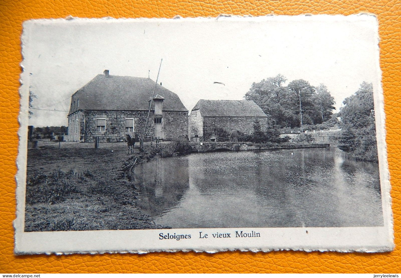 SELOIGNES   -  Le Vieux Moulin - Momignies