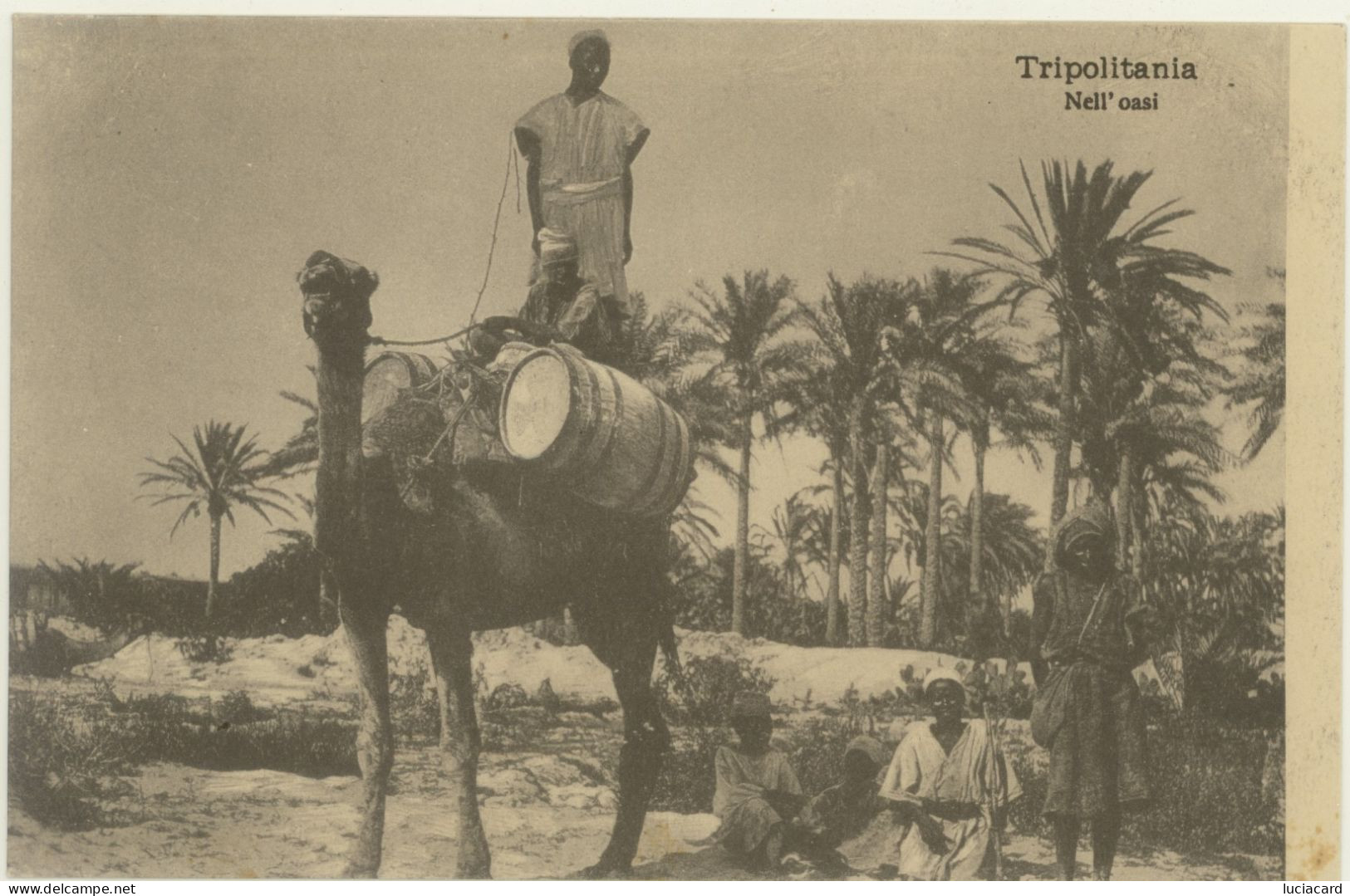 TRIPOLITANIA -TRIPOLI -NELL'OASI - Libyen