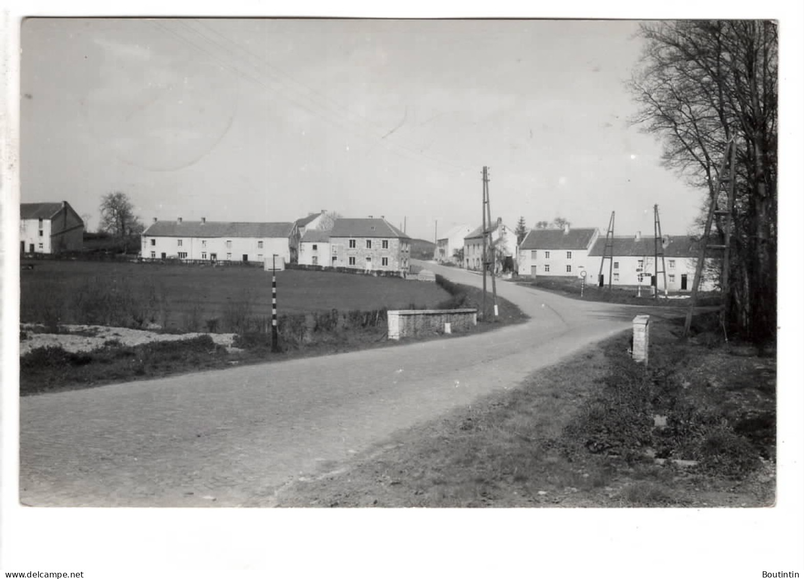 Rosée La Bruscaille ( Bints Philippeville ) - Florennes