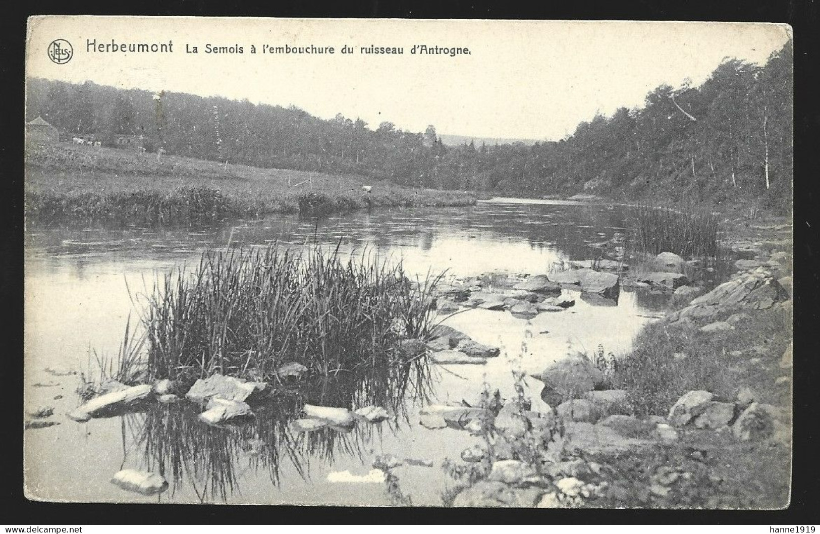 Herbeumont La Semois à L' Embouchure Du Ruisseau D' Antrogne Luxembourg Htje - Herbeumont