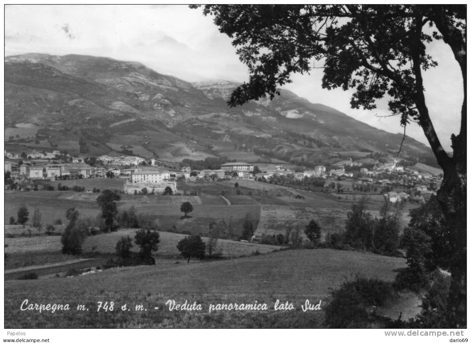 CARTOLINA -  CARPEGNA - Sonstige & Ohne Zuordnung