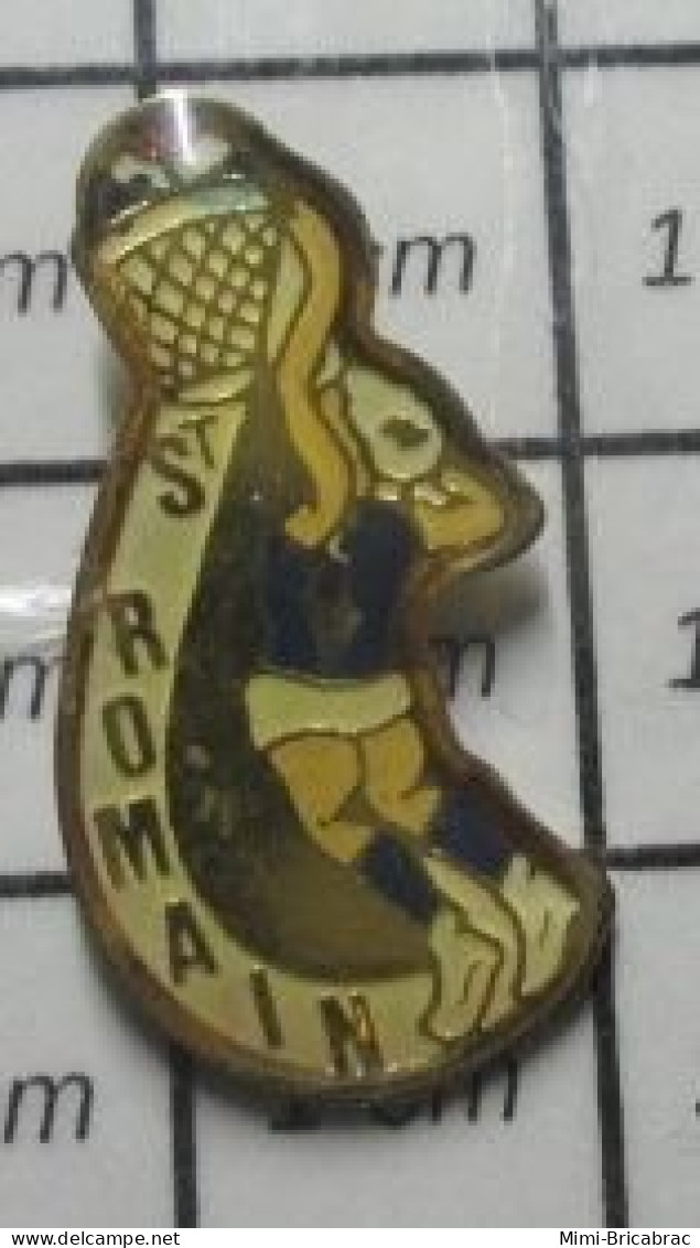 1015c Pin's Pins / Beau Et Rare / SPORTS / BASKET-BALL CLUB ST ROMAIN - Basketbal