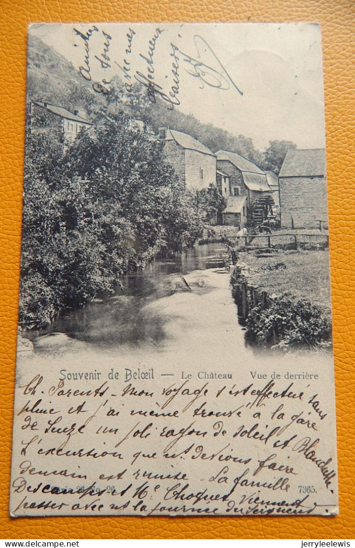 BELOEIL  -  Le Château - Vue De Derrière - Moulin à Eau  -  1902 - Belöil