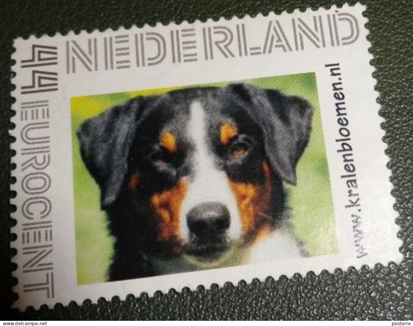 Nederland - NVPH - 2635 - Persoonlijke - Gestempeld - Used - Hond - Kralenbloemen - Personalisierte Briefmarken