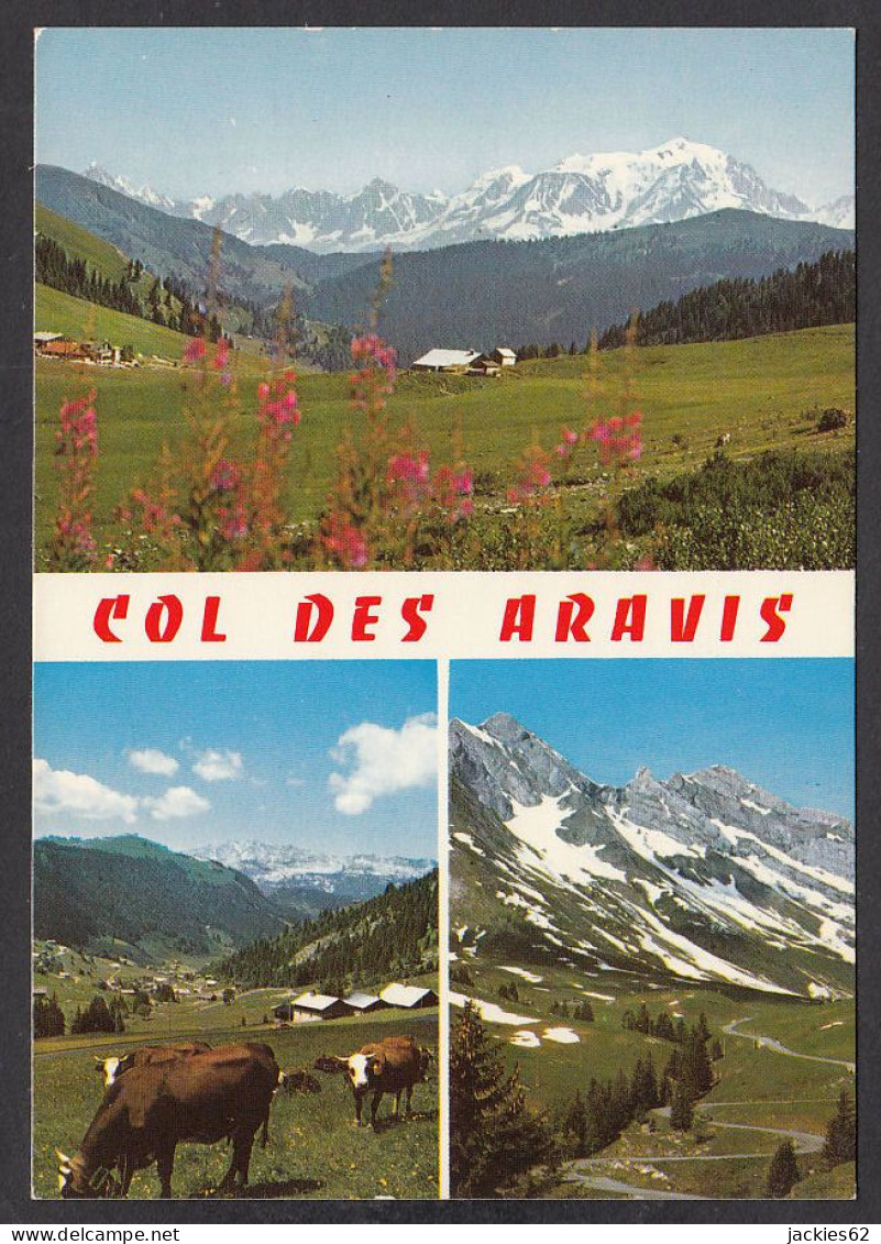 074556/ ALPES, Col Des Aravis - Rhône-Alpes