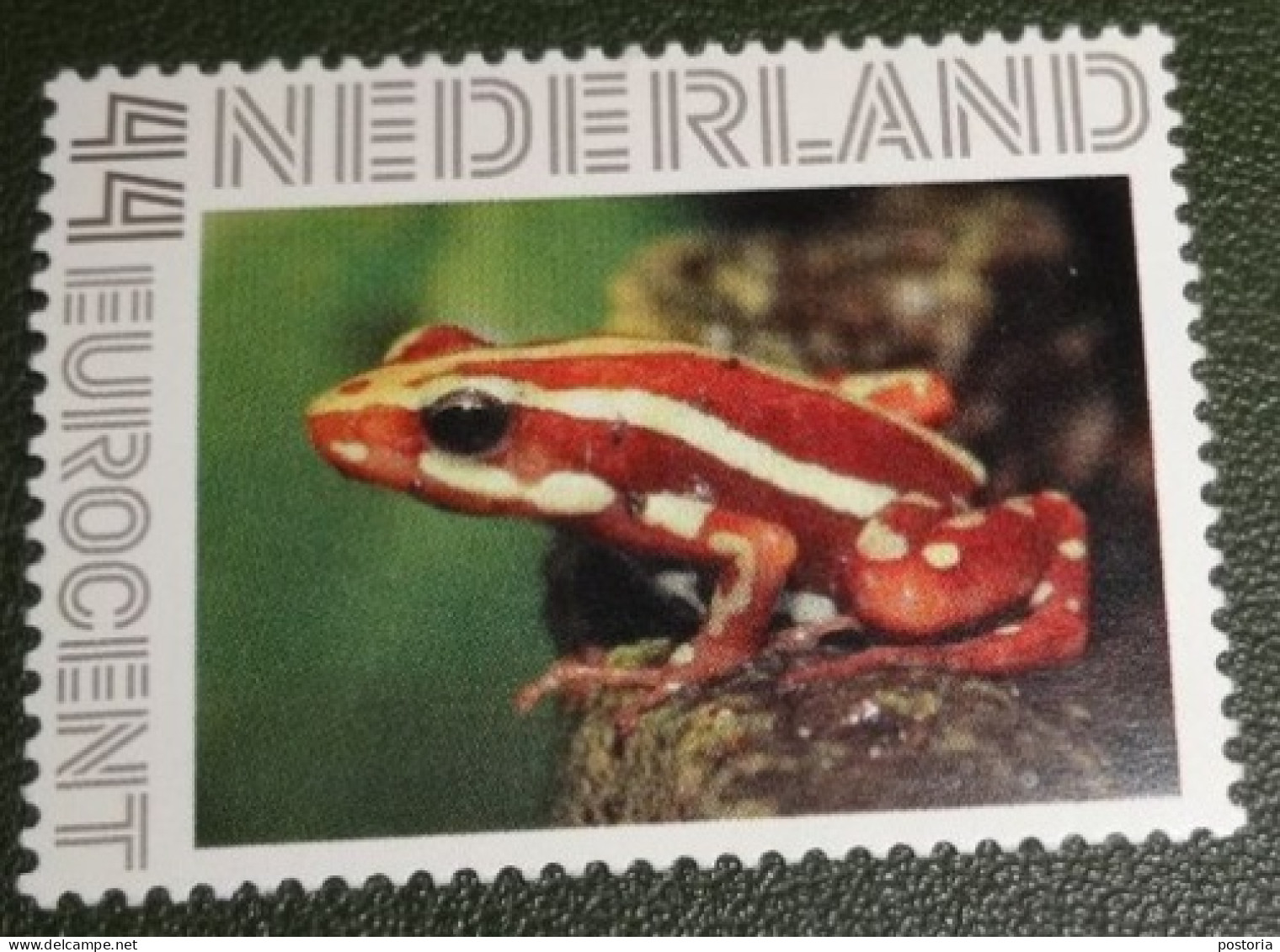 Nederland - NVPH - Persoonlijke - Postfris - MNH - Kikker - Frog -1 - Persoonlijke Postzegels