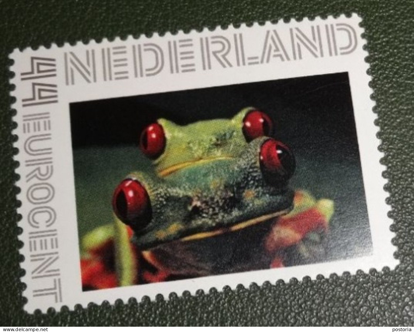 Nederland - NVPH - Persoonlijke - Postfris - MNH - Kikker - Frog -2 - Persoonlijke Postzegels