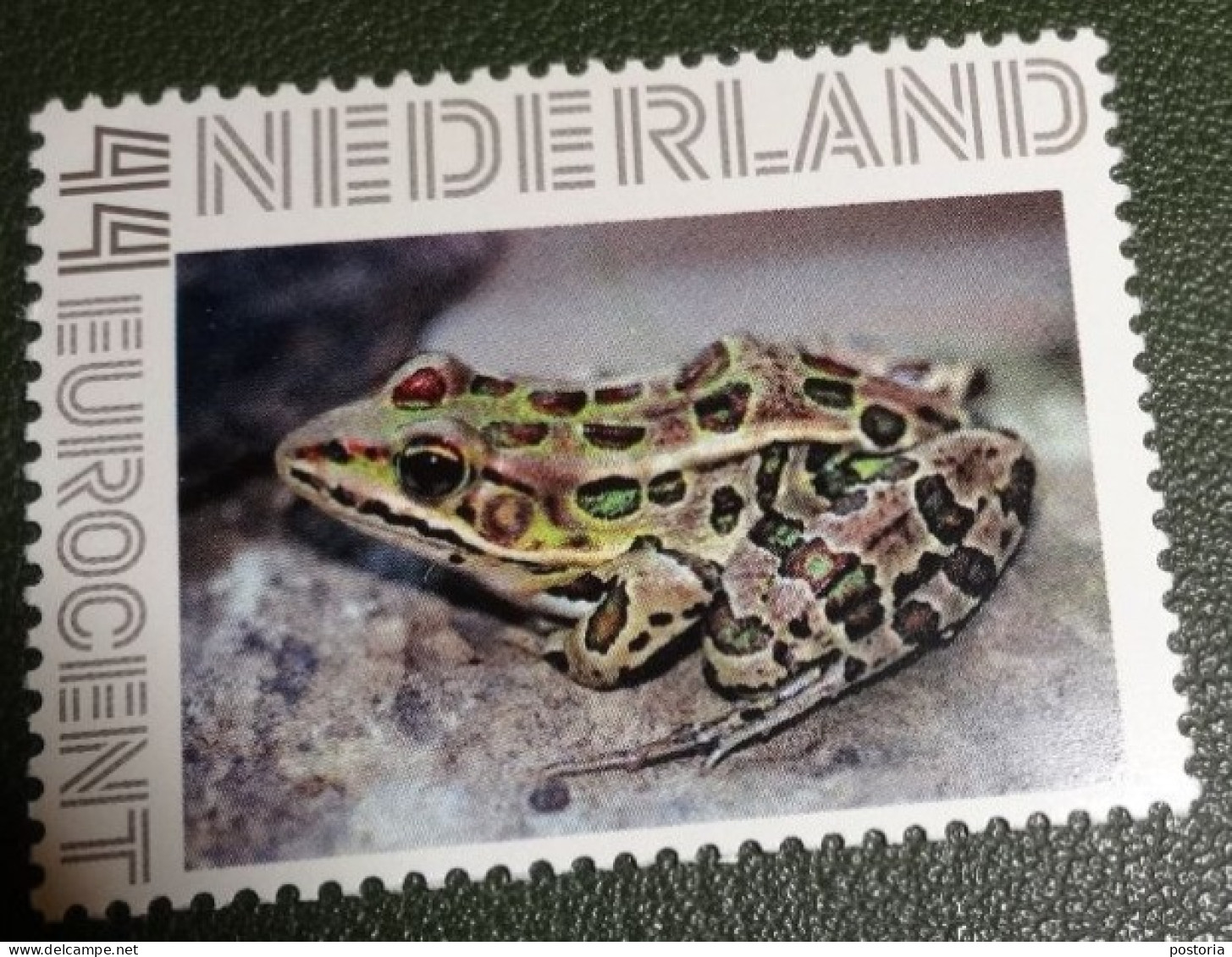 Nederland - NVPH - Persoonlijke - Postfris - MNH - Kikker - Frog - 3 - Francobolli Personalizzati