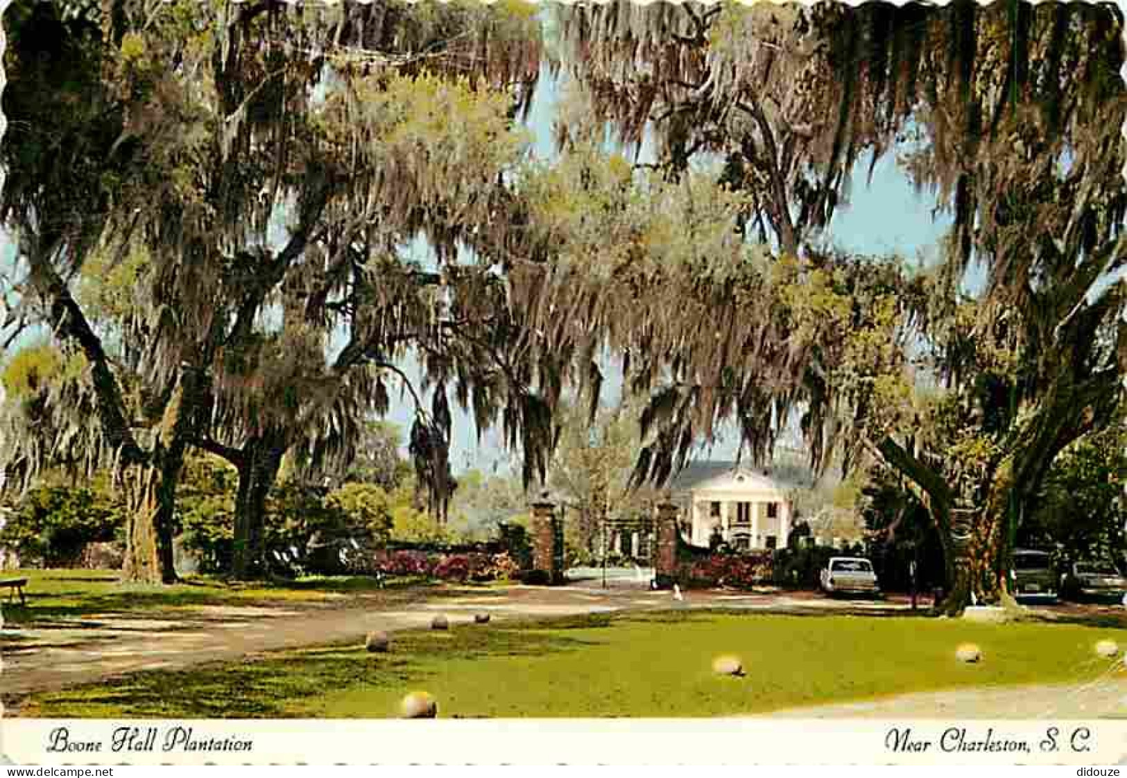 Etats Unis - Charleston - Boone Hall Plantation - Automobiles - CPM - Voir Scans Recto-Verso - Charleston