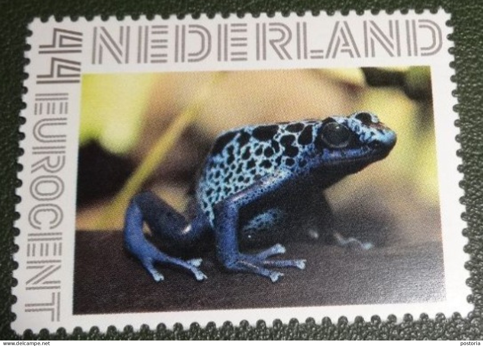 Nederland - NVPH - Persoonlijke - Postfris - MNH - Kikker - Frog - 6 - Personalisierte Briefmarken
