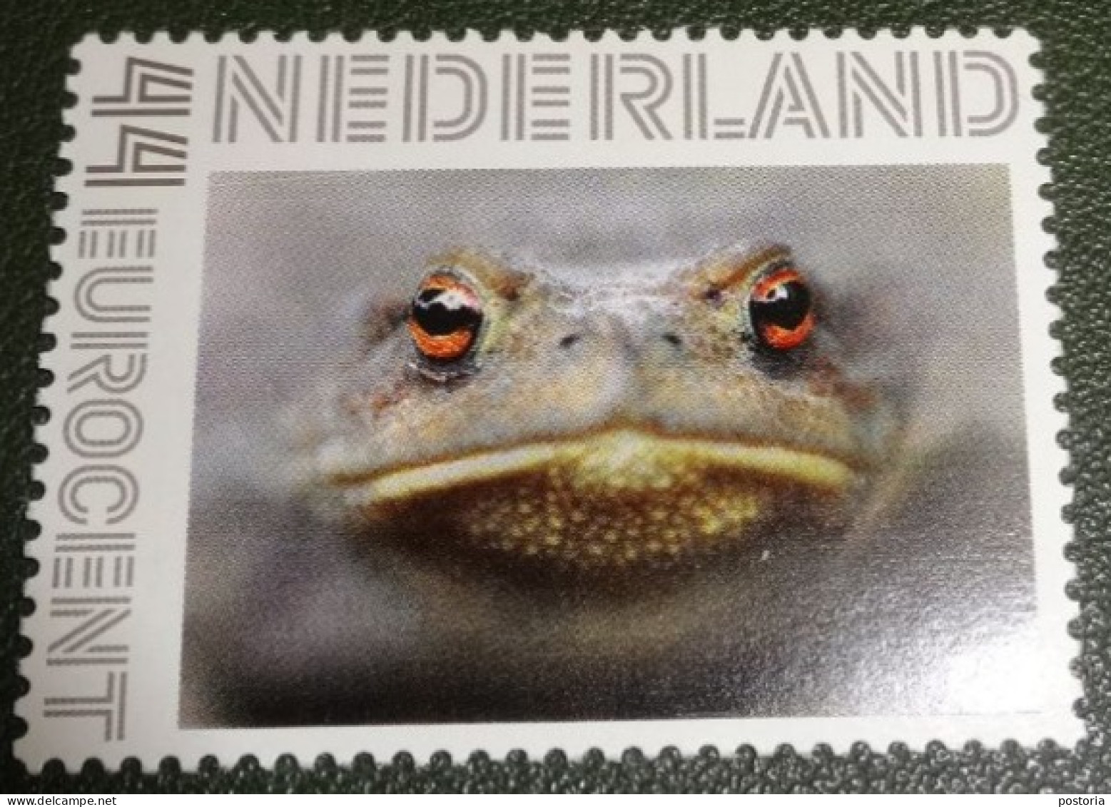 Nederland - NVPH - Persoonlijke - Postfris - MNH - Kikker - Frog - 7 - Timbres Personnalisés