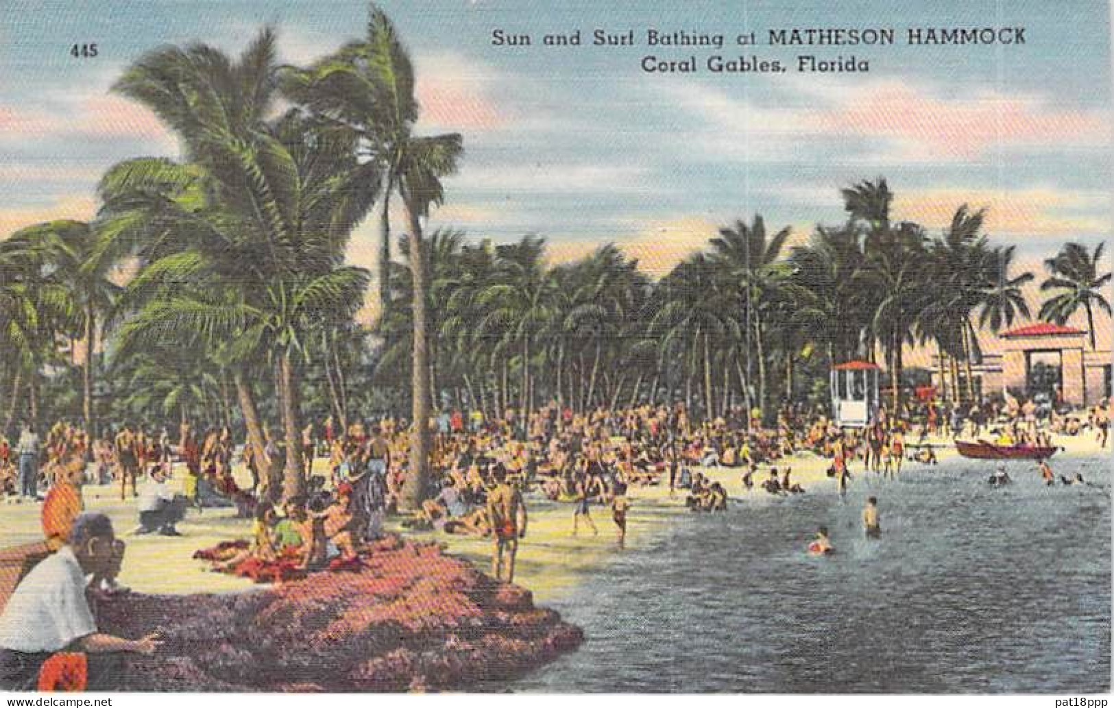 Bon Lot De 100 CPSM Colorisées FLORIDE (USA) Format CPA (80 % 1930-40's, Puis 1920's Et 10 GF 1980's) 0.15 € / Carte - 100 - 499 Postcards