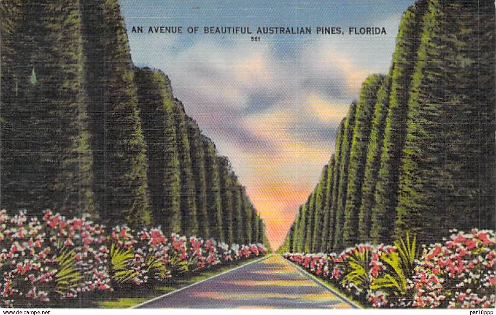 Bon Lot De 100 CPSM Colorisées FLORIDE (USA) Format CPA (80 % 1930-40's, Puis 1920's Et 10 GF 1980's) 0.15 € / Carte - 100 - 499 Postcards