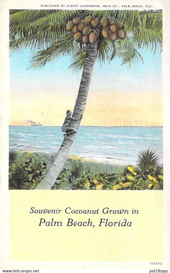 Bon Lot de 100 CPSM colorisées FLORIDE (USA) format CPA (80 % 1930-40's, puis 1920's et 10 GF 1980's) 0.15 € / carte