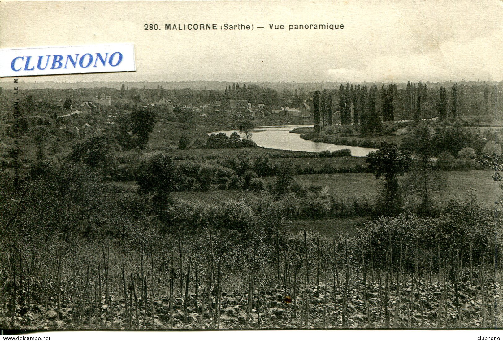 CPA - MALICORNE - VUE PANORAMIQUE - Malicorne Sur Sarthe