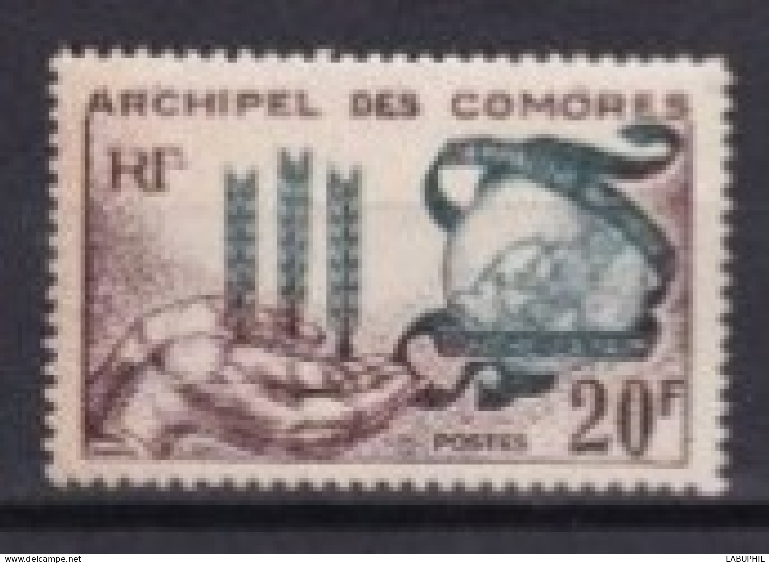 COMORES  NEUF MNH **1963 - Unused Stamps