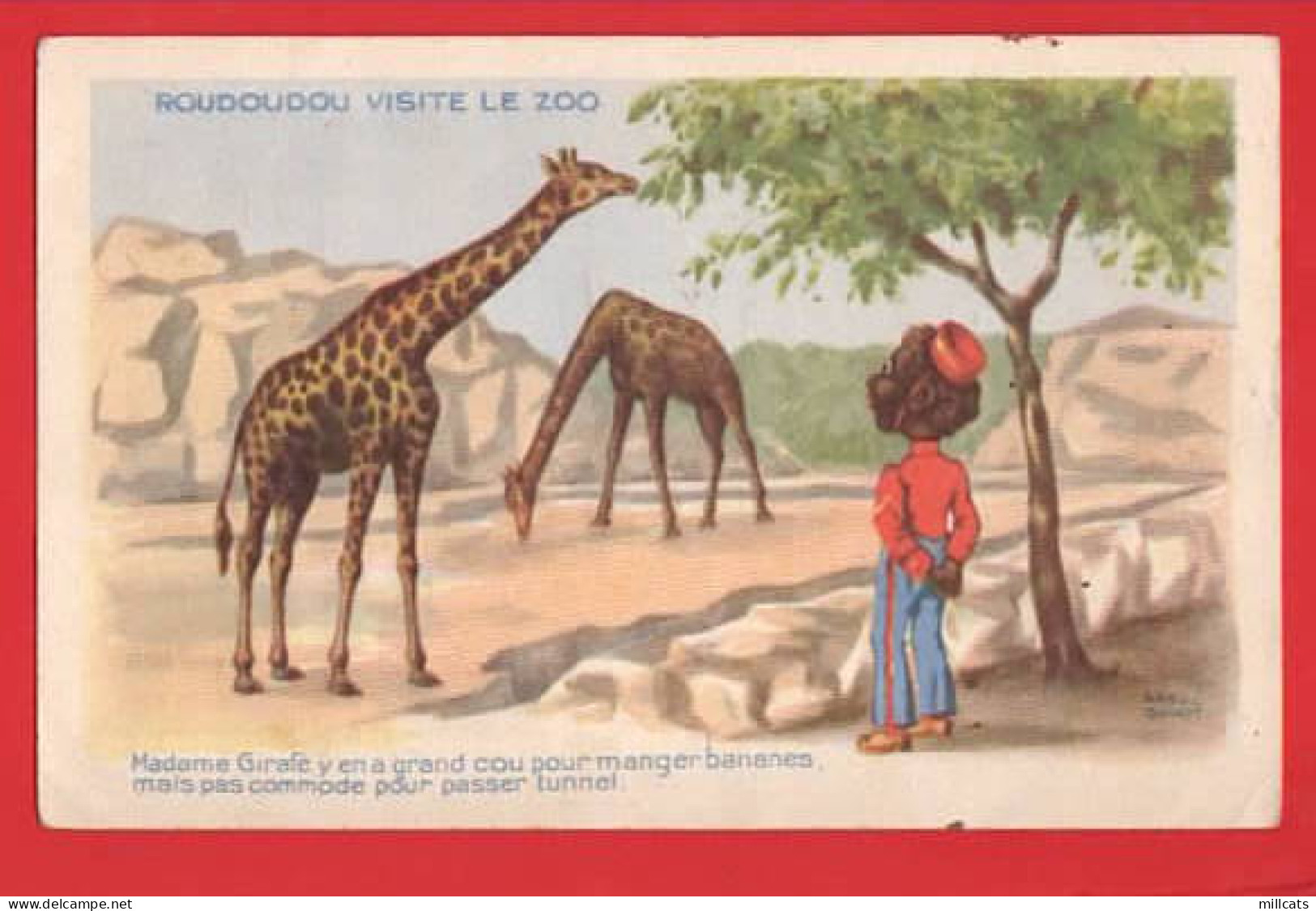 ROUDOUDOU VISITE LE ZOO   GIRAFFES - Girafes