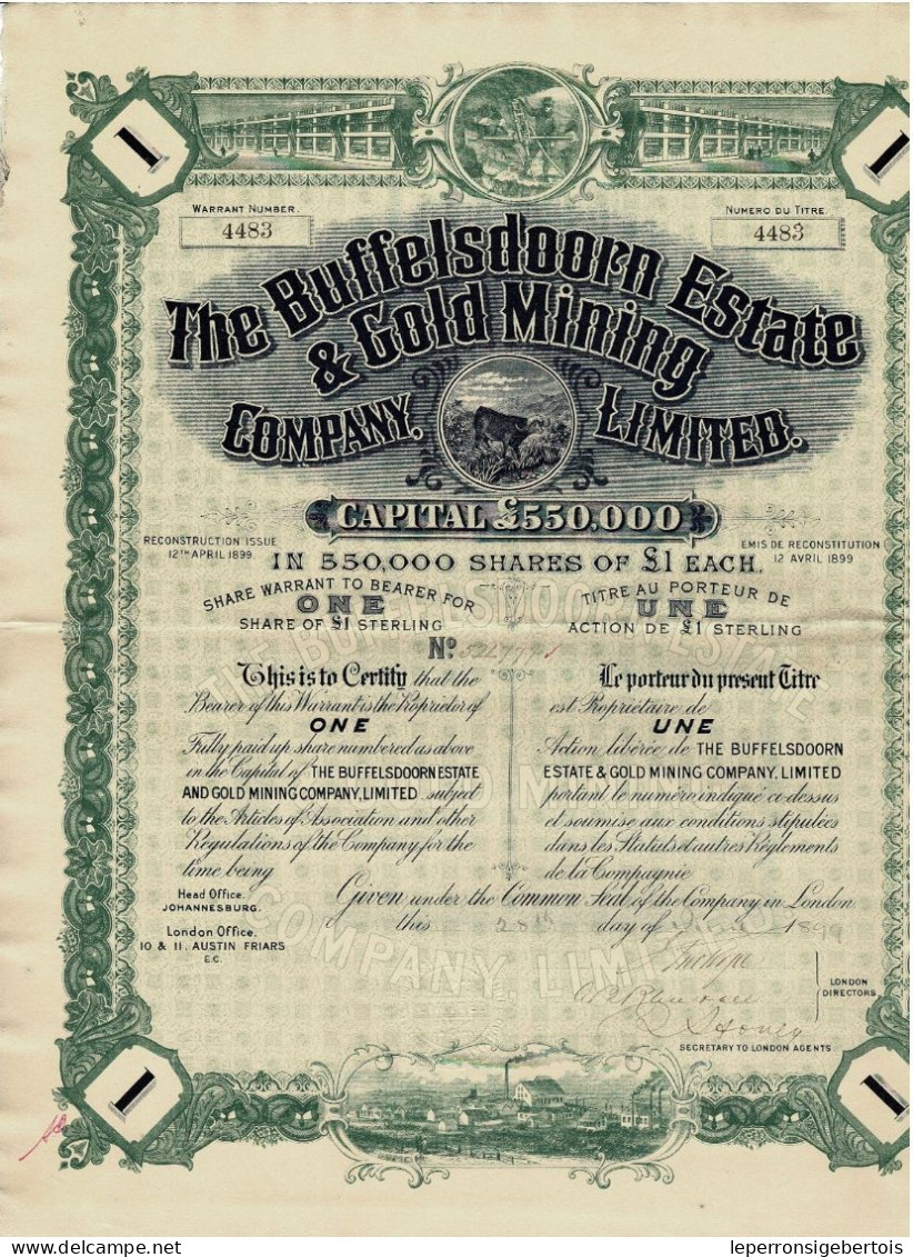 Titre De 1899 - The Buffelsdoorn Estate & Gold Mining Company Limited - Déco - - Mines