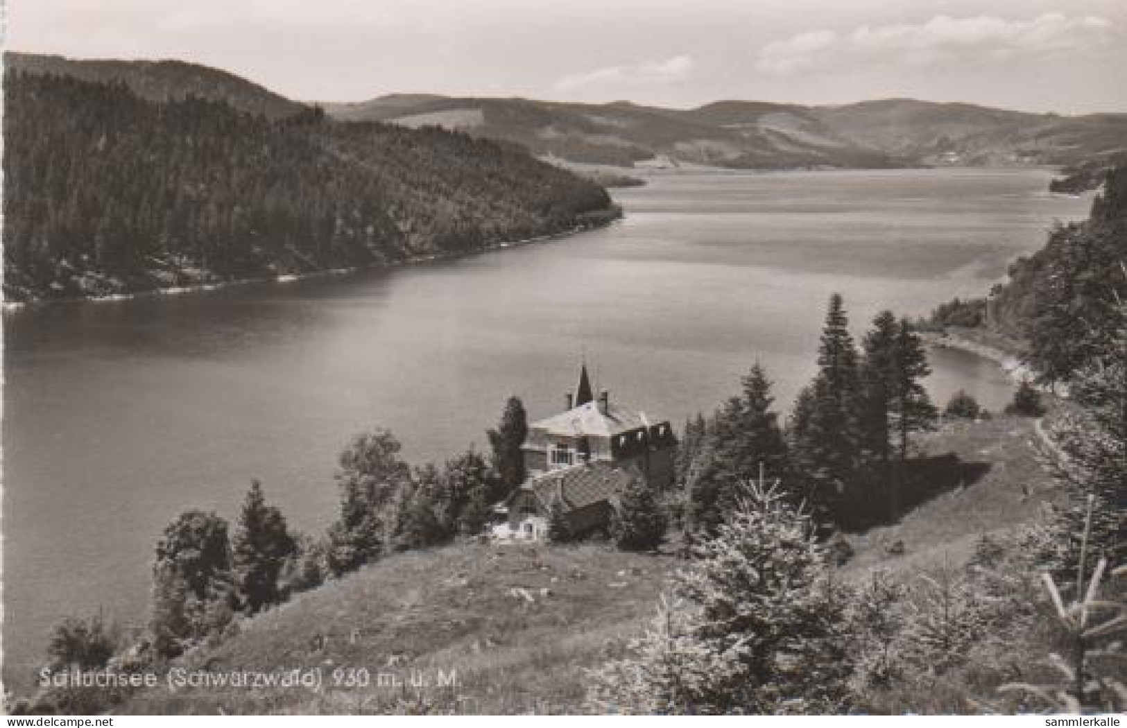 7049 - Schluchsee Im Schwarzwald - 1956 - Schluchsee