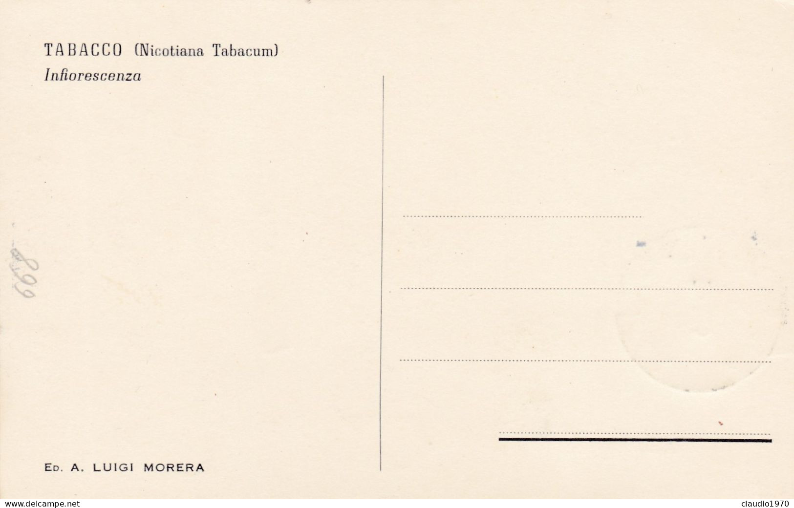 JUGOSLAVIA - FDC - CARTOLINA   - 1955 - FDC