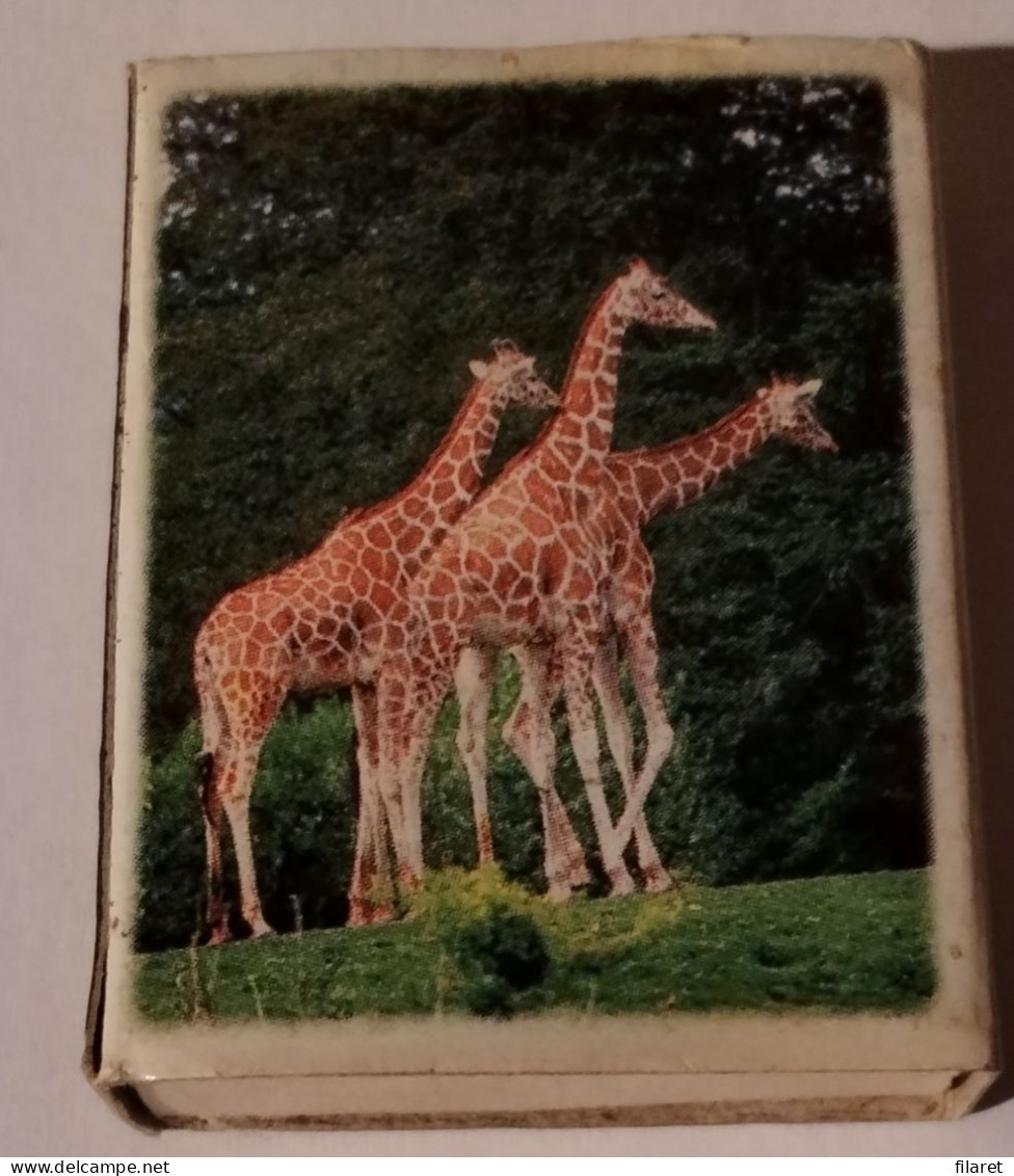 Animale,Girafa/Muflon,Romania,matchbox - Boites D'allumettes