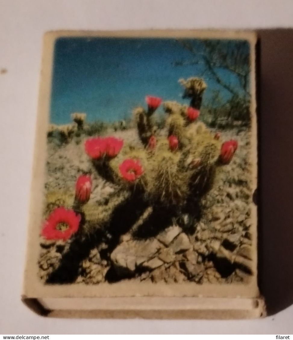 COWBOY,HORSES-MUSTANG-/CACTUS,Romania,matchbox - Zündholzschachteln