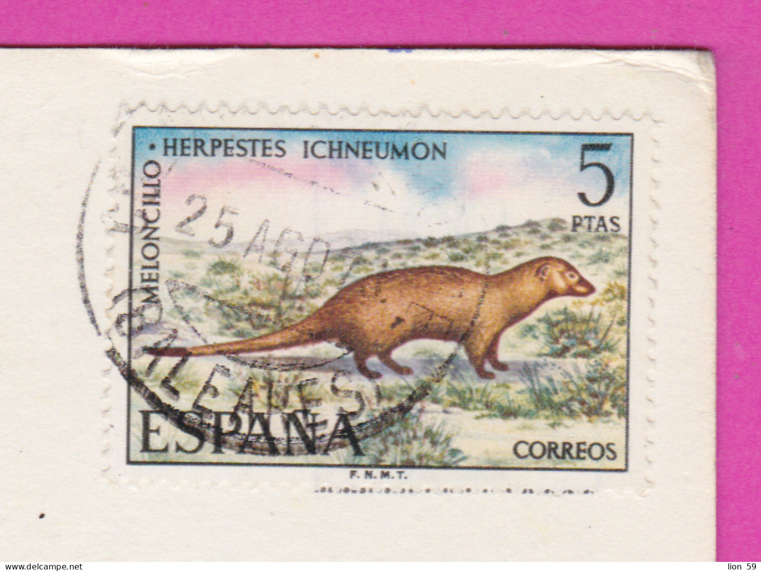 293745 / Spain - Typical Andalusian Court PC 1973 USED 5 Pts Animal Herpestes Ichneumon  Meloncillo Egyptian Mongoose - Cartas & Documentos