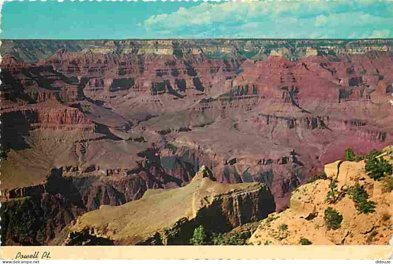 Etats Unis - Grand Canyon - Grand Canyon National Park From Powell Memorial Point - CPM - Voir Scans Recto-Verso - Gran Cañon