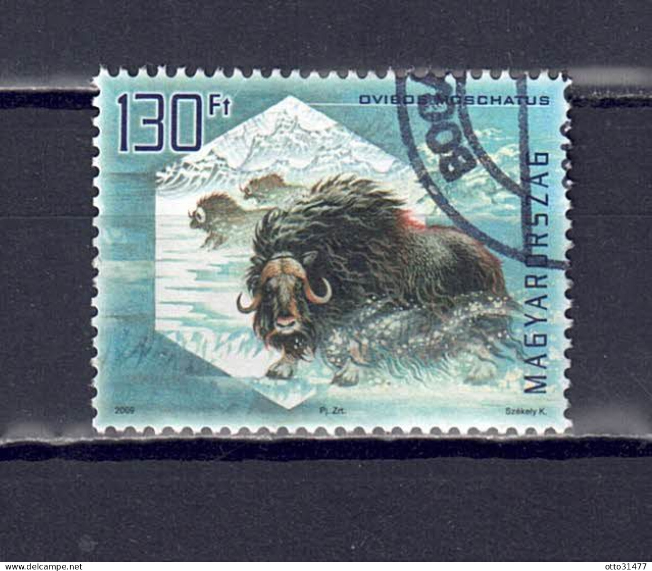 Ungarn 2009 - Moschusochse, Nr. 5335 I, Gestempelt / Used - Used Stamps