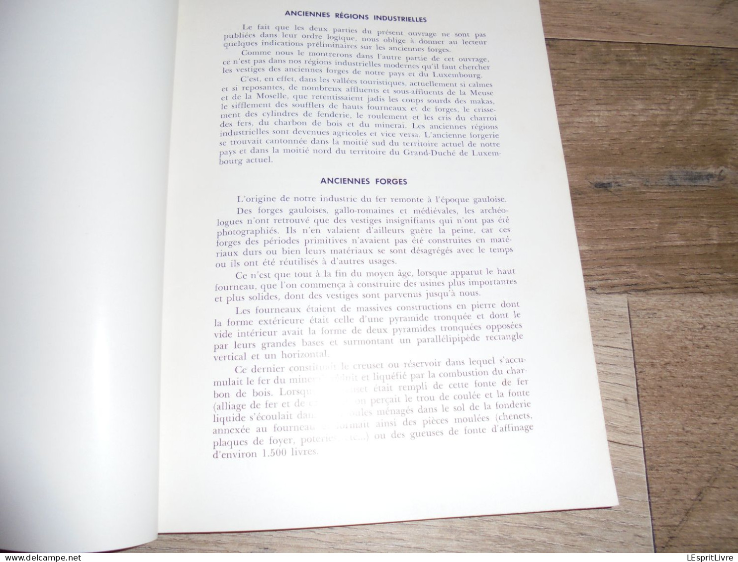 FORGES ANCIENNES Régionalisme Industrie du Fer Fenderie Maka Hauts Fourneaux Lobbes Orval Couvin Vennes Yvoir Muno Gaume