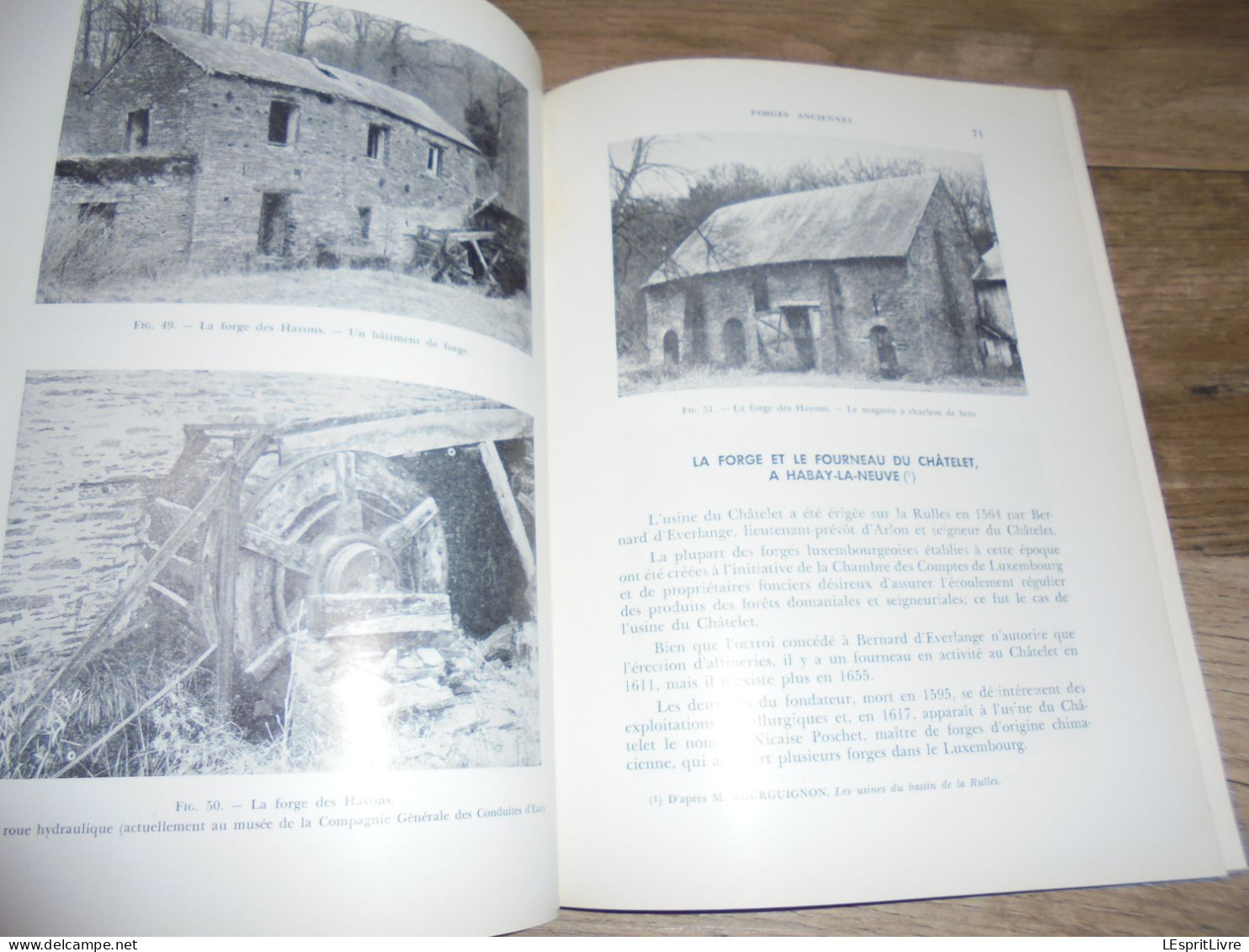 FORGES ANCIENNES Régionalisme Industrie du Fer Fenderie Maka Hauts Fourneaux Lobbes Orval Couvin Vennes Yvoir Muno Gaume