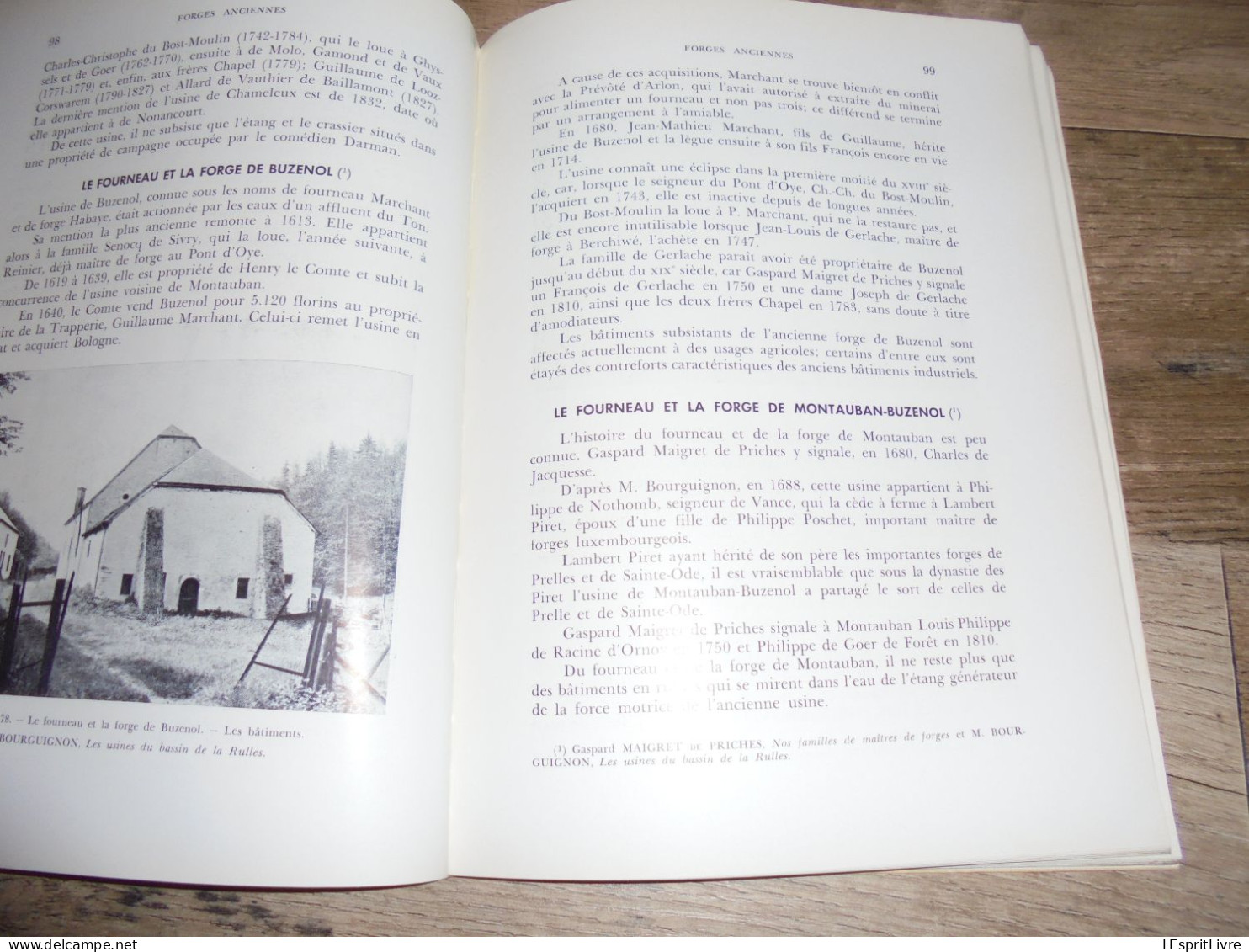 FORGES ANCIENNES Régionalisme Industrie du Fer Fenderie Maka Hauts Fourneaux Lobbes Orval Couvin Vennes Yvoir Muno Gaume