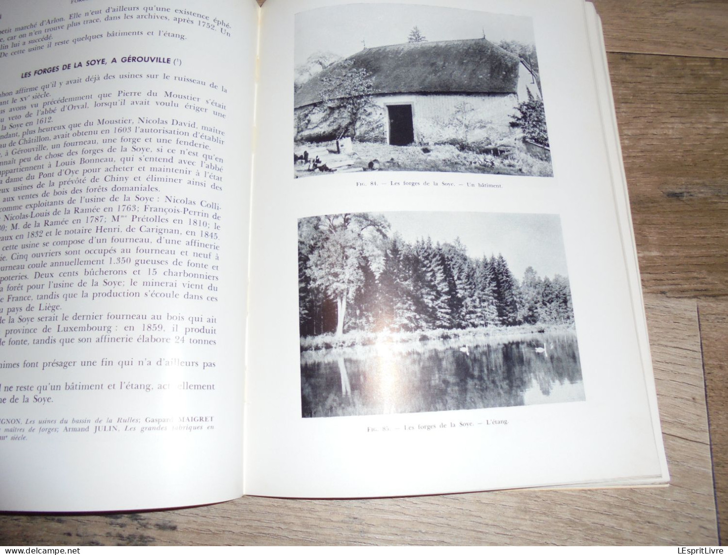 FORGES ANCIENNES Régionalisme Industrie du Fer Fenderie Maka Hauts Fourneaux Lobbes Orval Couvin Vennes Yvoir Muno Gaume