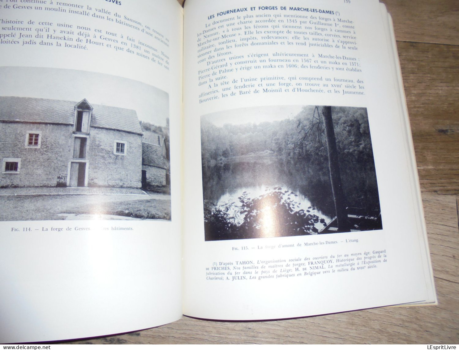 FORGES ANCIENNES Régionalisme Industrie du Fer Fenderie Maka Hauts Fourneaux Lobbes Orval Couvin Vennes Yvoir Muno Gaume